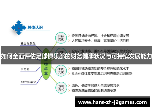 如何全面评估足球俱乐部的财务健康状况与可持续发展能力 如何全面评估足球俱乐部的财务健康状况与可持续发展能力