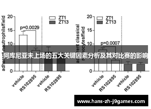 阿库尼亚未上场的五大关键因素分析及其对比赛的影响 阿库尼亚未上场的五大关键因素分析及其对比赛的影响